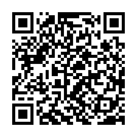 QR code for BNP379