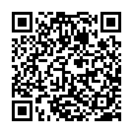 QR code for BPD381