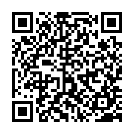QR code for BQO384