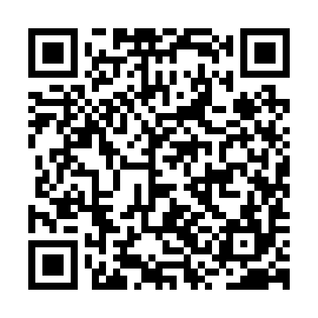 QR code for BSI294