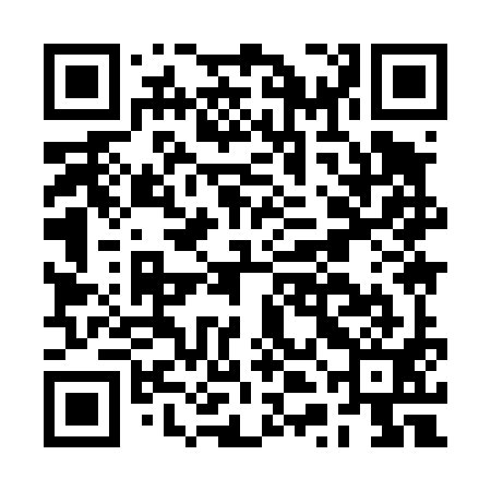 QR code for BTI491