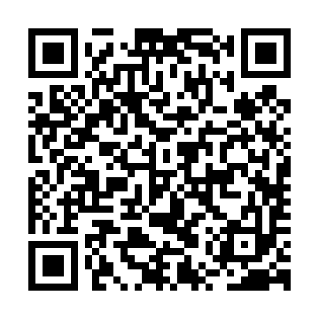 QR code for BUR493