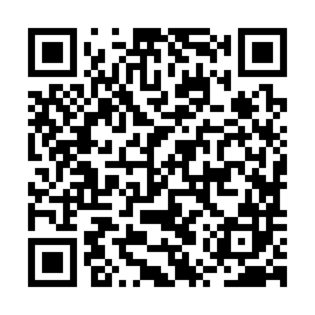 QR code for BUZ382