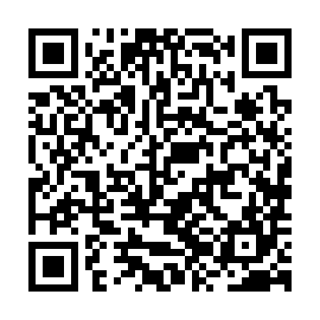 QR code for BZH384