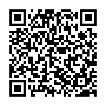 QR code for BZL314