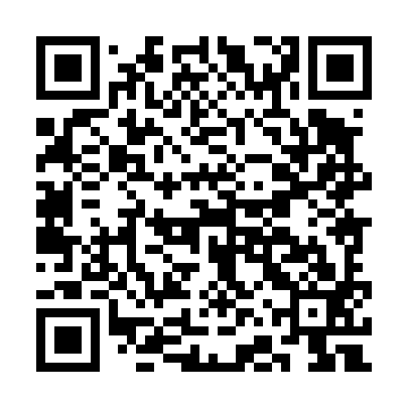 QR code for CFX493