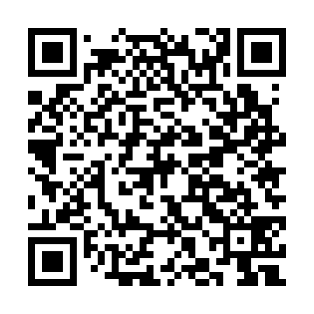 QR code for CHE339