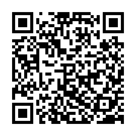 QR code for CHF208