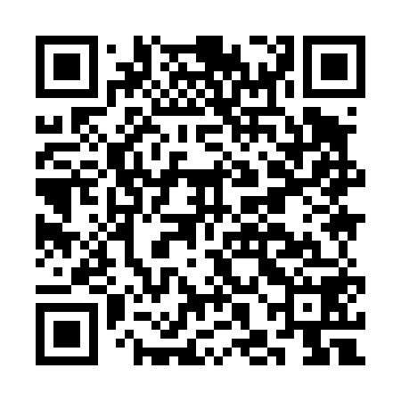 QR code for CHI458