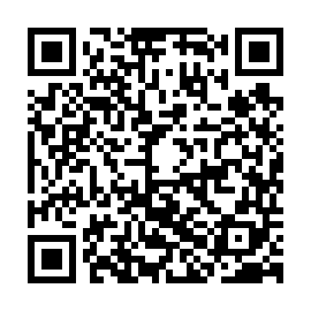 QR code for CHI648