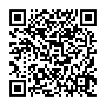 QR code for CHI906