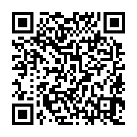 QR code for CHO383