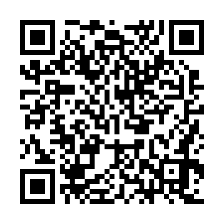 QR code for CHZ272