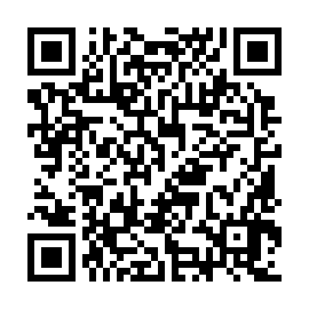 QR code for CKM386