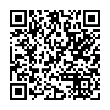 QR code for CSL383