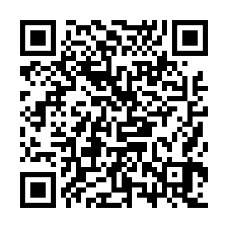 QR code for CZP463
