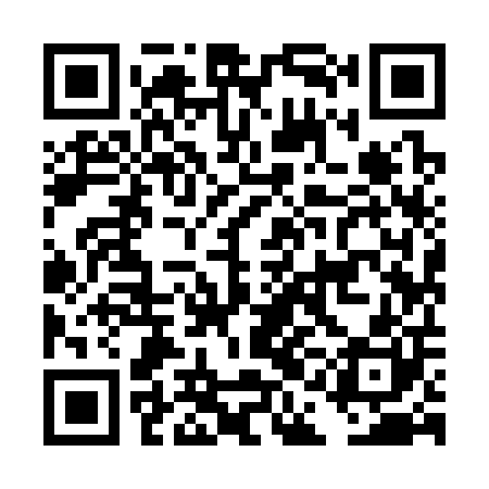 QR code for DAI300