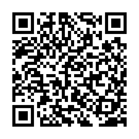 QR code for DAI789