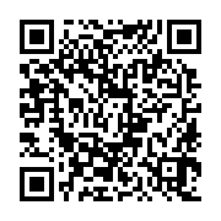 QR code for DAO382
