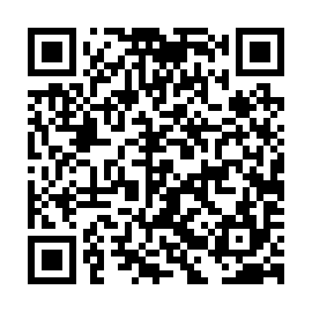 QR code for DBT294