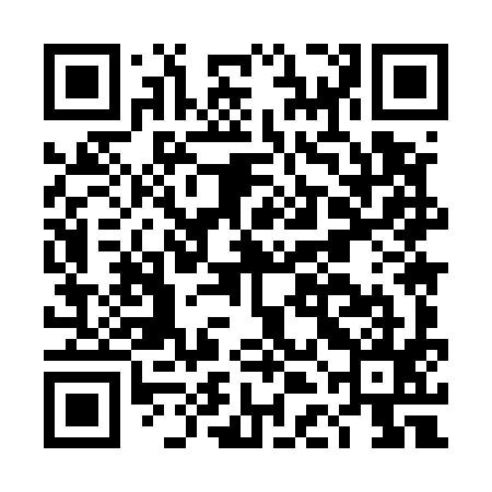 QR code for DDM595