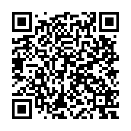 QR code for DDQ529