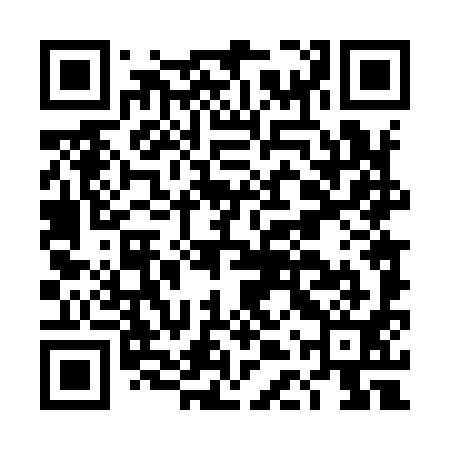 QR code for DDT991
