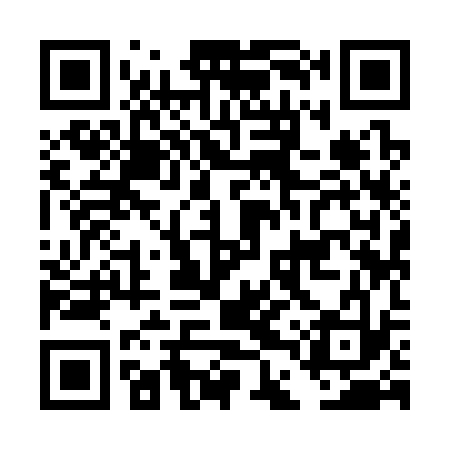QR code for DDY333
