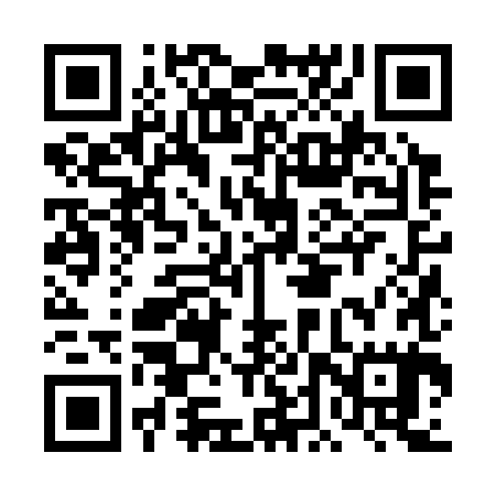 QR code for DDZ385
