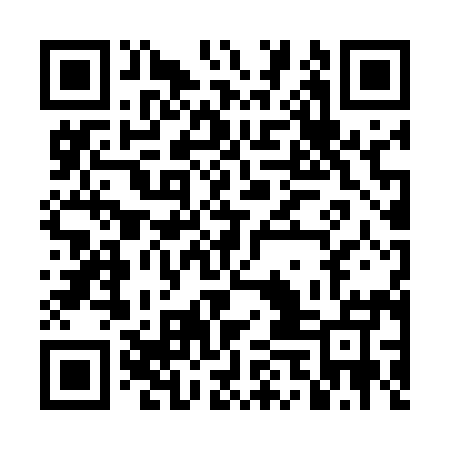 QR code for DEN595
