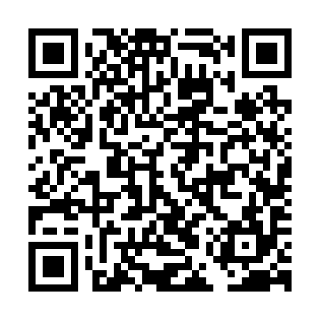 QR code for DEV294