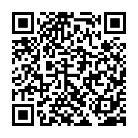 QR code for DEV811