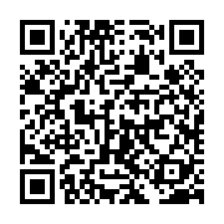 QR code for DFR029