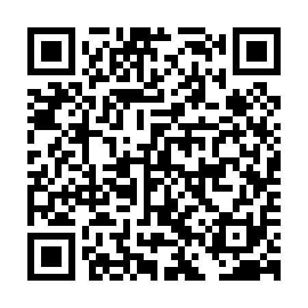 QR code for DFS011