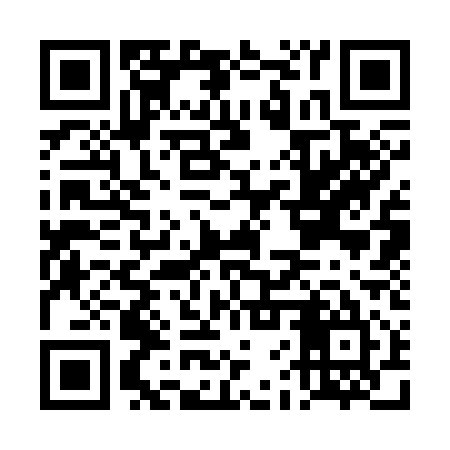 QR code for DFS315