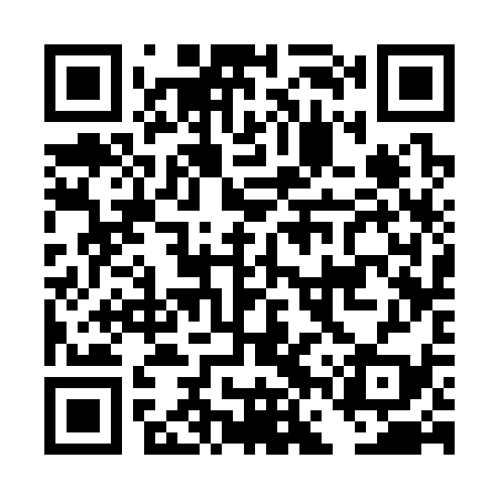 QR code for DFS339