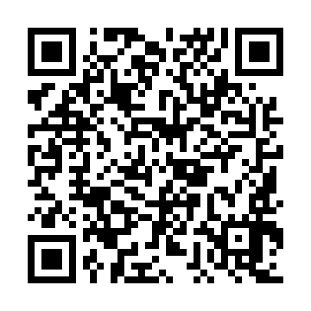 QR code for DGI597