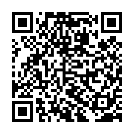 QR code for DHU411