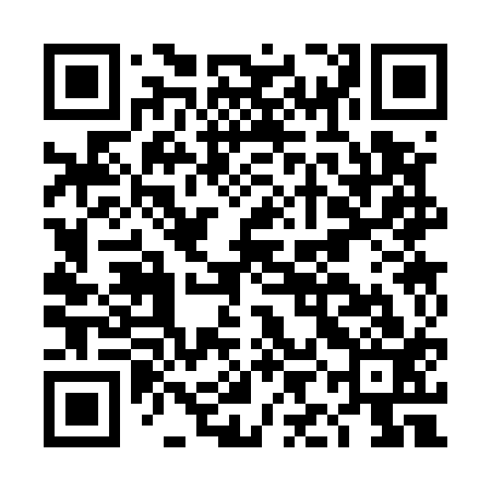 QR code for DIC513