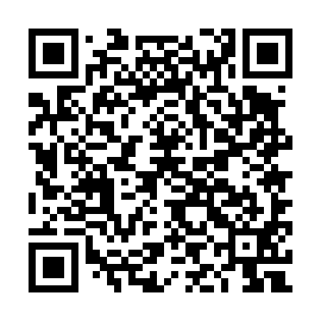 QR code for DIE491