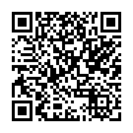 QR code for DIF213