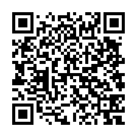 QR code for DIF438