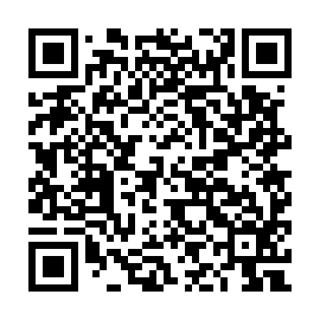 QR code for DIG596
