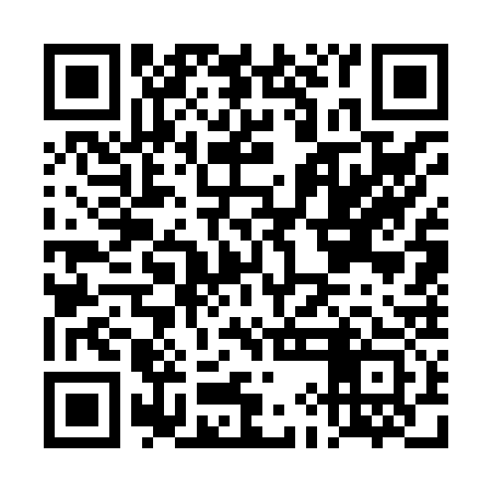 QR code for DIG833