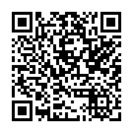 QR code for DIM217