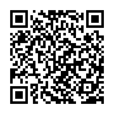 QR code for DIP318