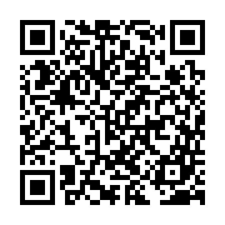 QR code for DIY347