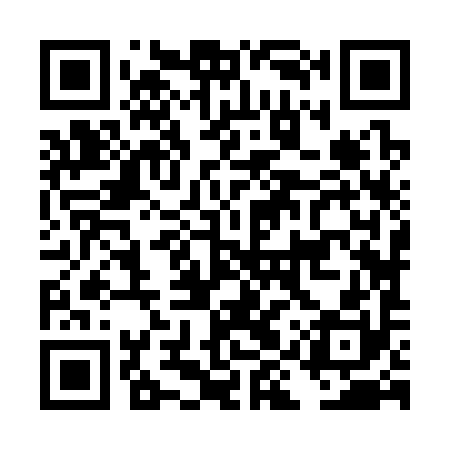 QR code for DIZ390