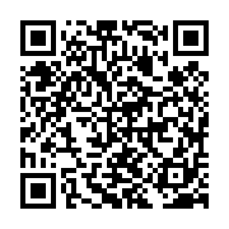 QR code for DIZ410