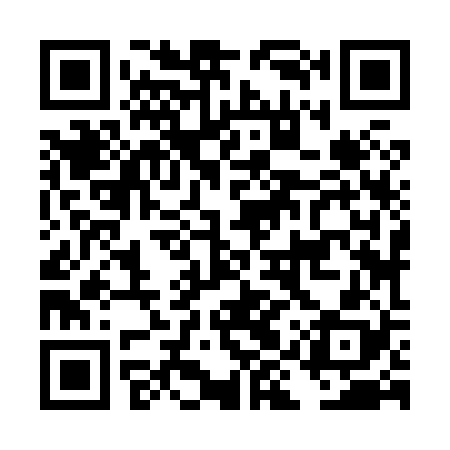 QR code for DIZ828